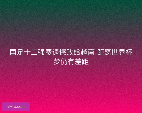 国足十二强赛遗憾败给越南 距离世界杯梦仍有差距